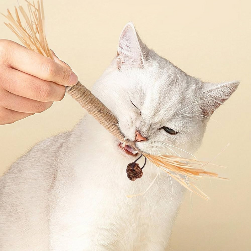 Pet Chewable Silvervine Sticks