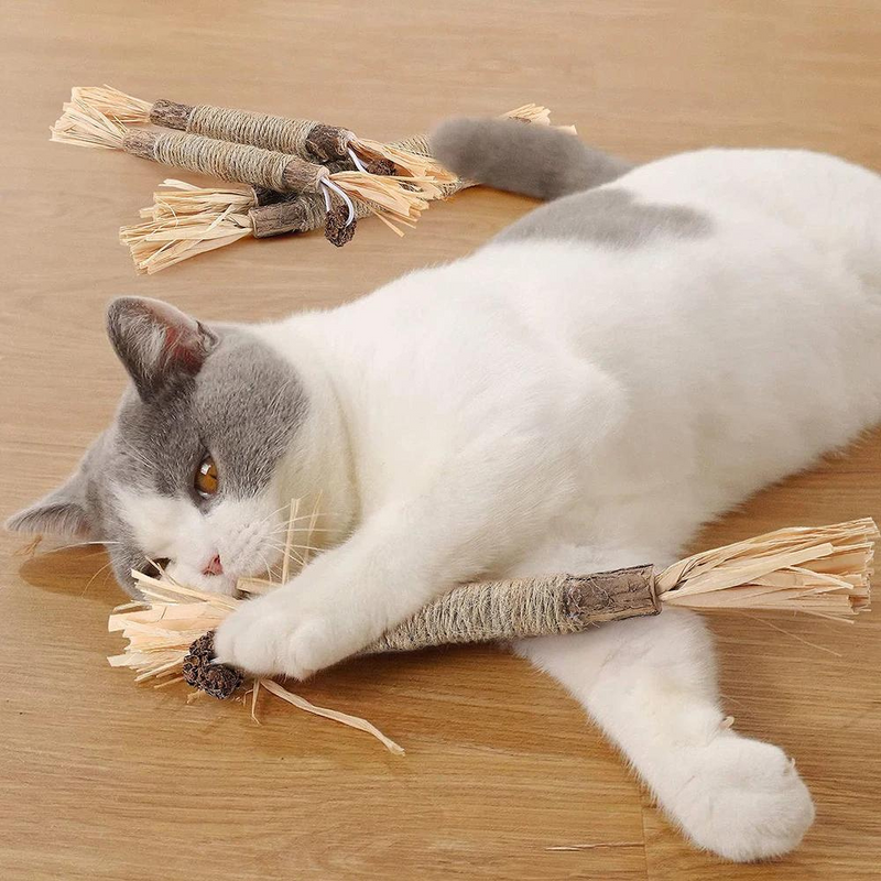 Pet Chewable Silvervine Sticks